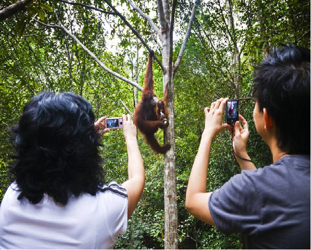 5 Reasons For You To Join Borneo Nature Explore