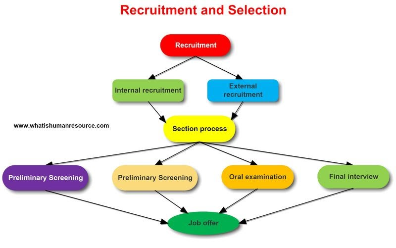Understanding The Human Resource System How Does It Work and the Features